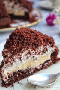 german, mole, cake, maulwurfkuchen, recipe, traditional, simple, baking, banana, cream, chocolate, cake, base, fluffy, texture, hill, dome