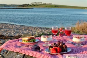 Vrinners, Denmark, picnic, family, time, holiday, sunset, picknick, Dänemark, Koldskål, Kammerjunker, strawberry, grapes, fresh, view, beautiful, buttermilk, cold, breeze